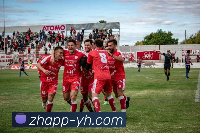 银河官网平台生态图